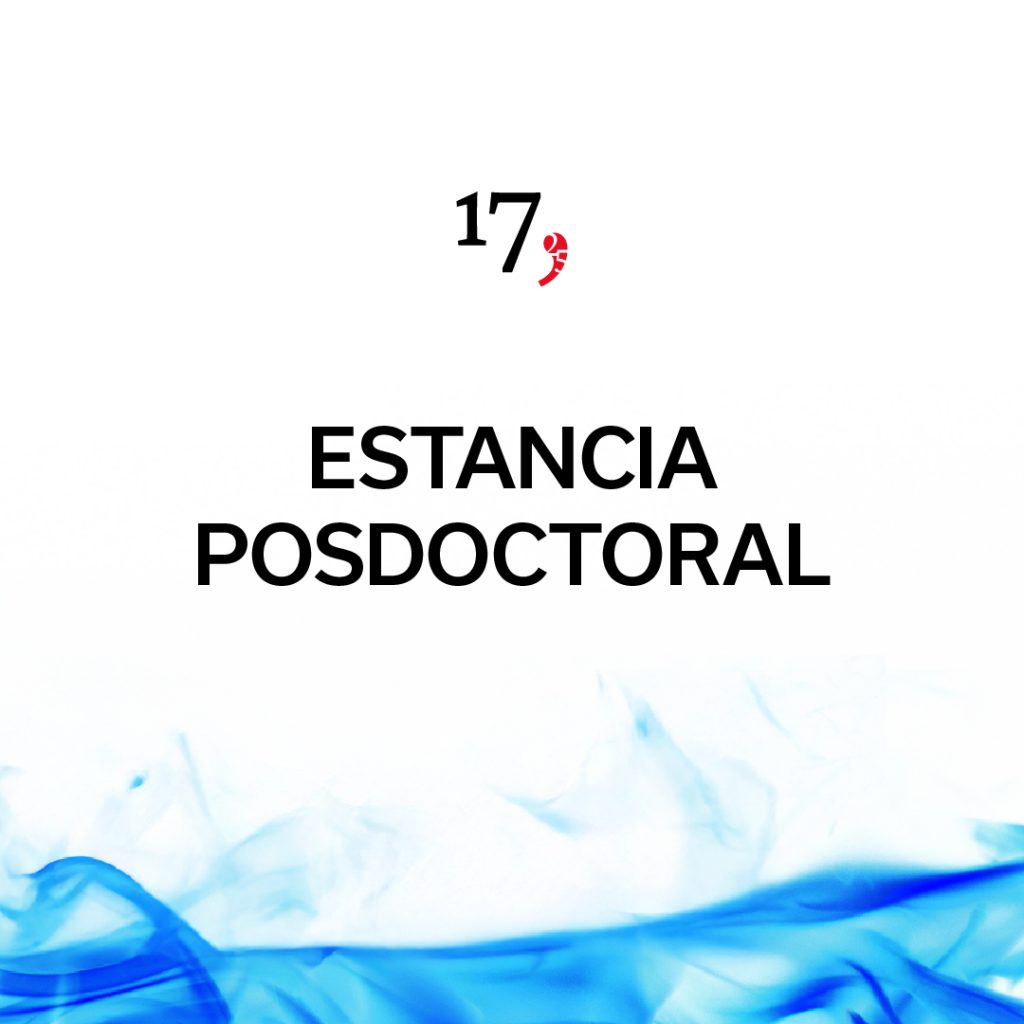 Estancia posdoctoral en Teoría Crítica
