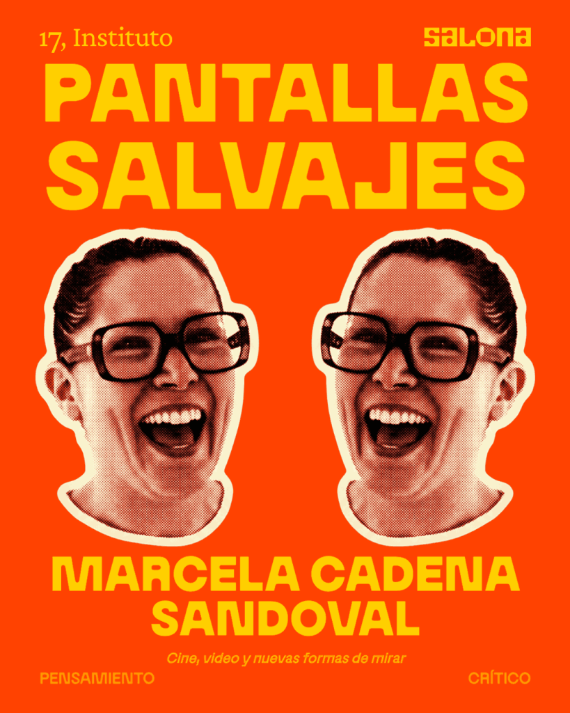 Pantallas Salvajes. Cine, video y nuevas formas de mirar