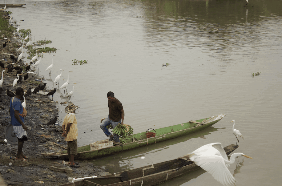 Escrituras de la experiencia en la narrativa latinoamericana
